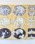 Home Deco Round Cat Friends Sheeting YGA-76050-1