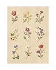Embroidery Cloth Kit - Floral
