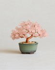 Beaded Bonsai Kit
