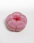 Plum Pincushion