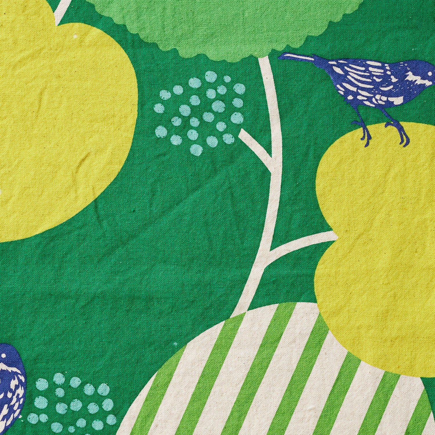 echino Pepe Cotton Linen Canvas EKX-98160-61