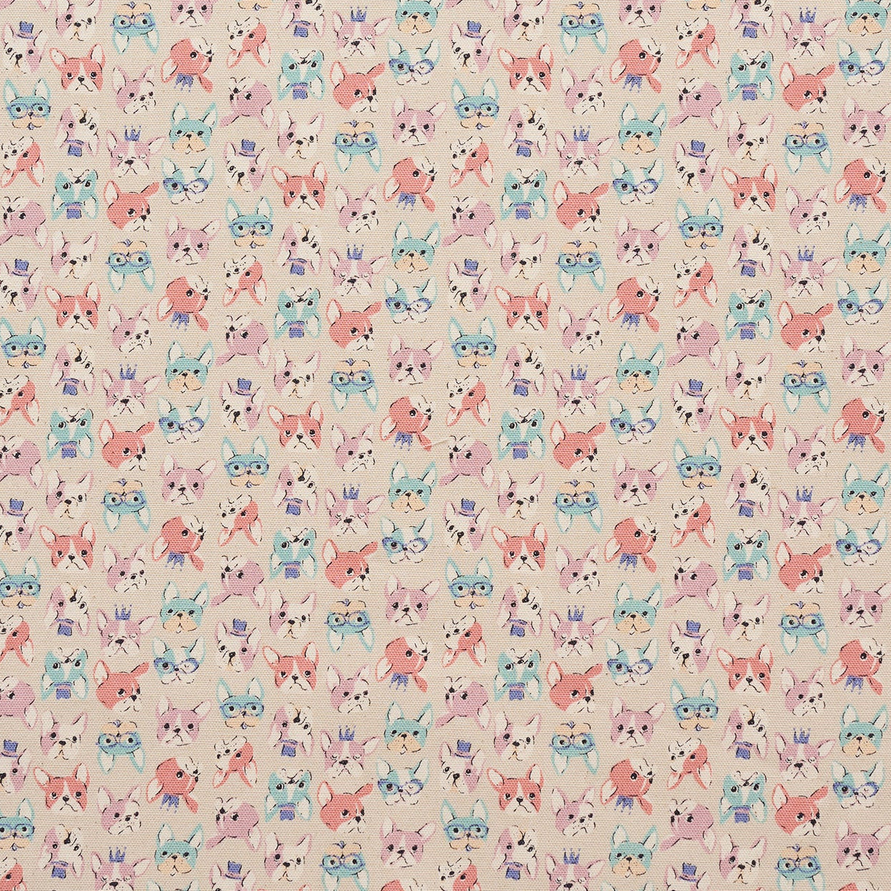 Chibi-pri French bulldog Cotton Oxford
