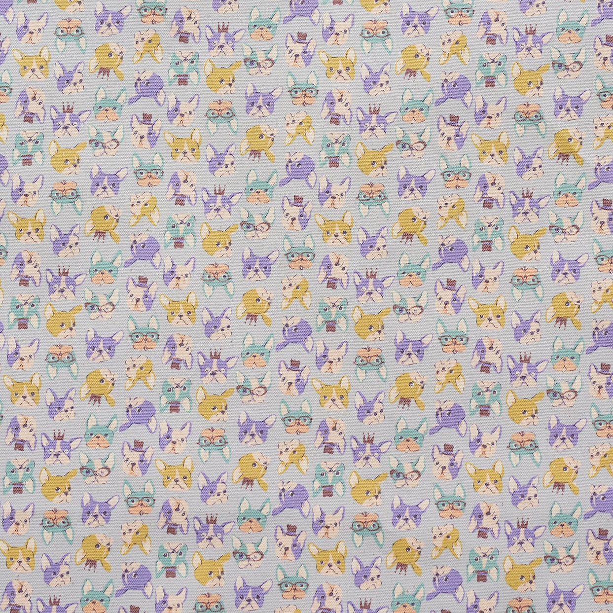 Chibi-pri French bulldog Cotton Oxford