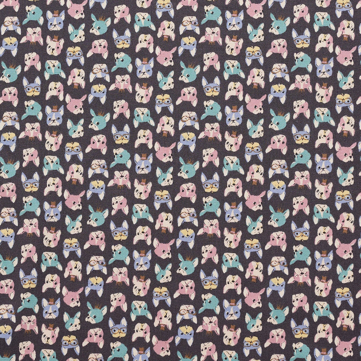 Chibi-pri French bulldog Cotton Oxford