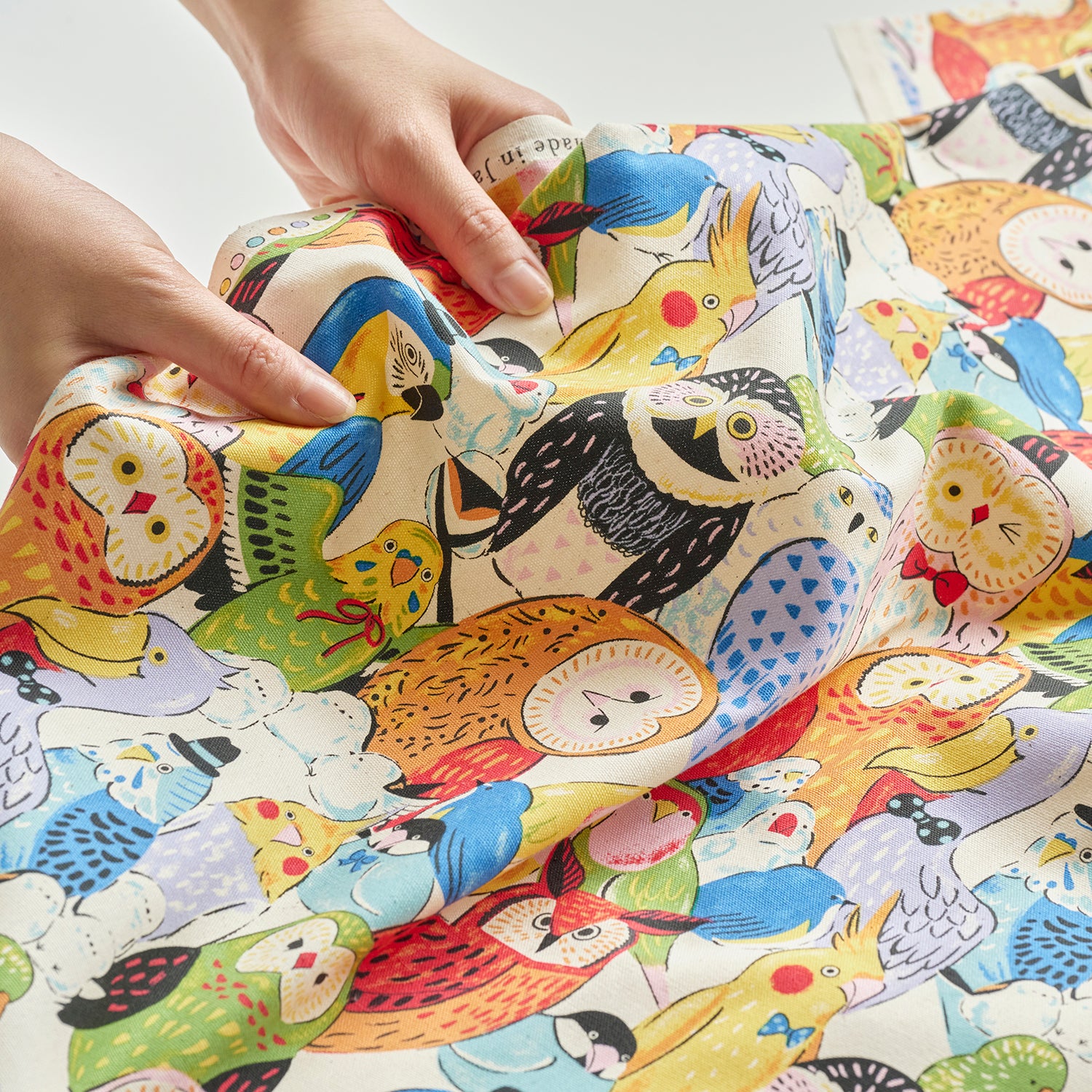 Powerful Animal Birds Retro Oxford | Kokka Fabrics