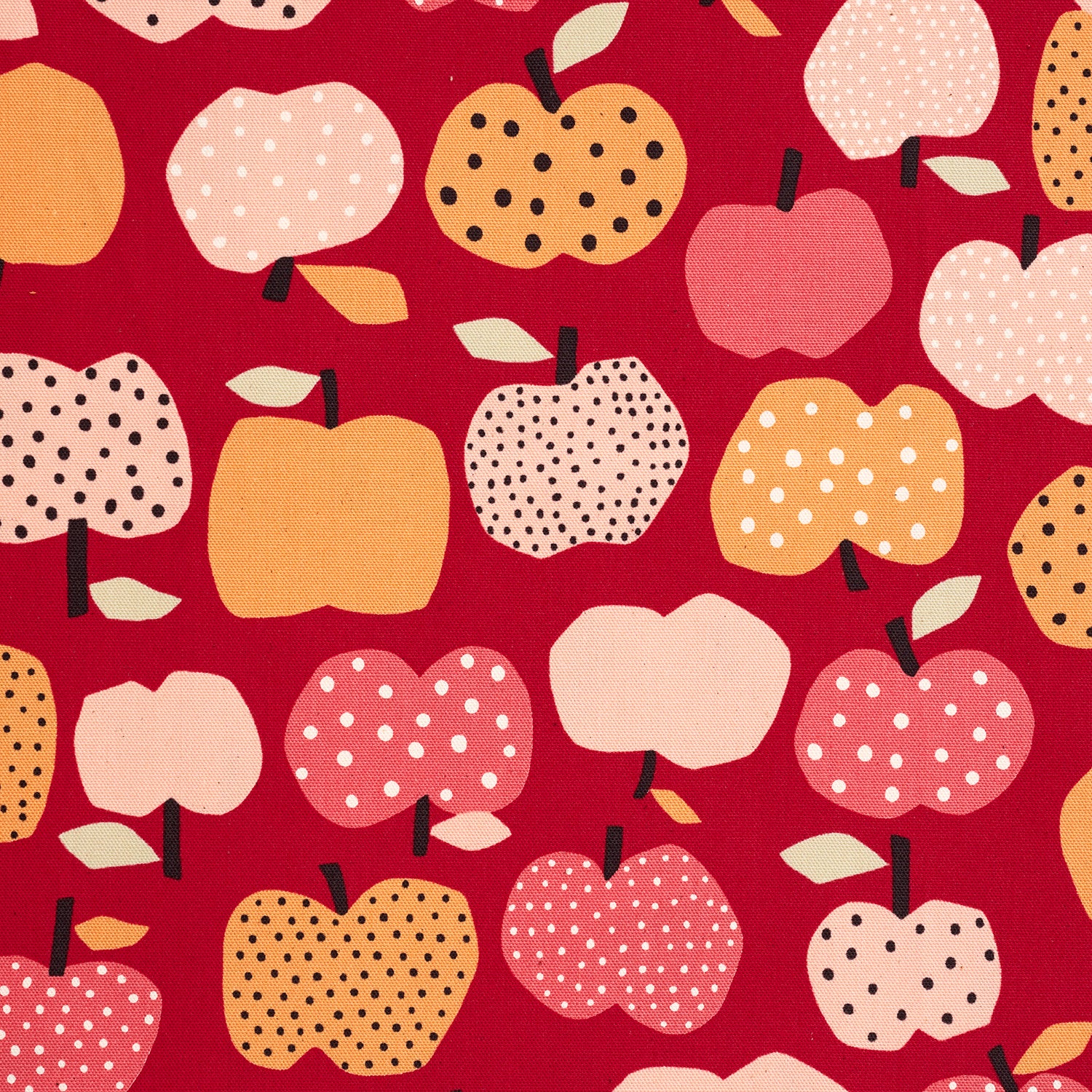 Nordic Girl Apple Cotton Oxford YKA-39010-1