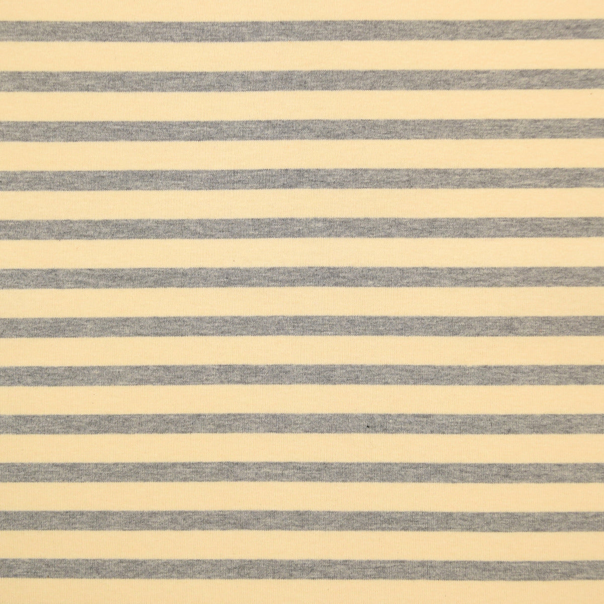 Striped Cotton Jersey Knit - Ecru x Grey