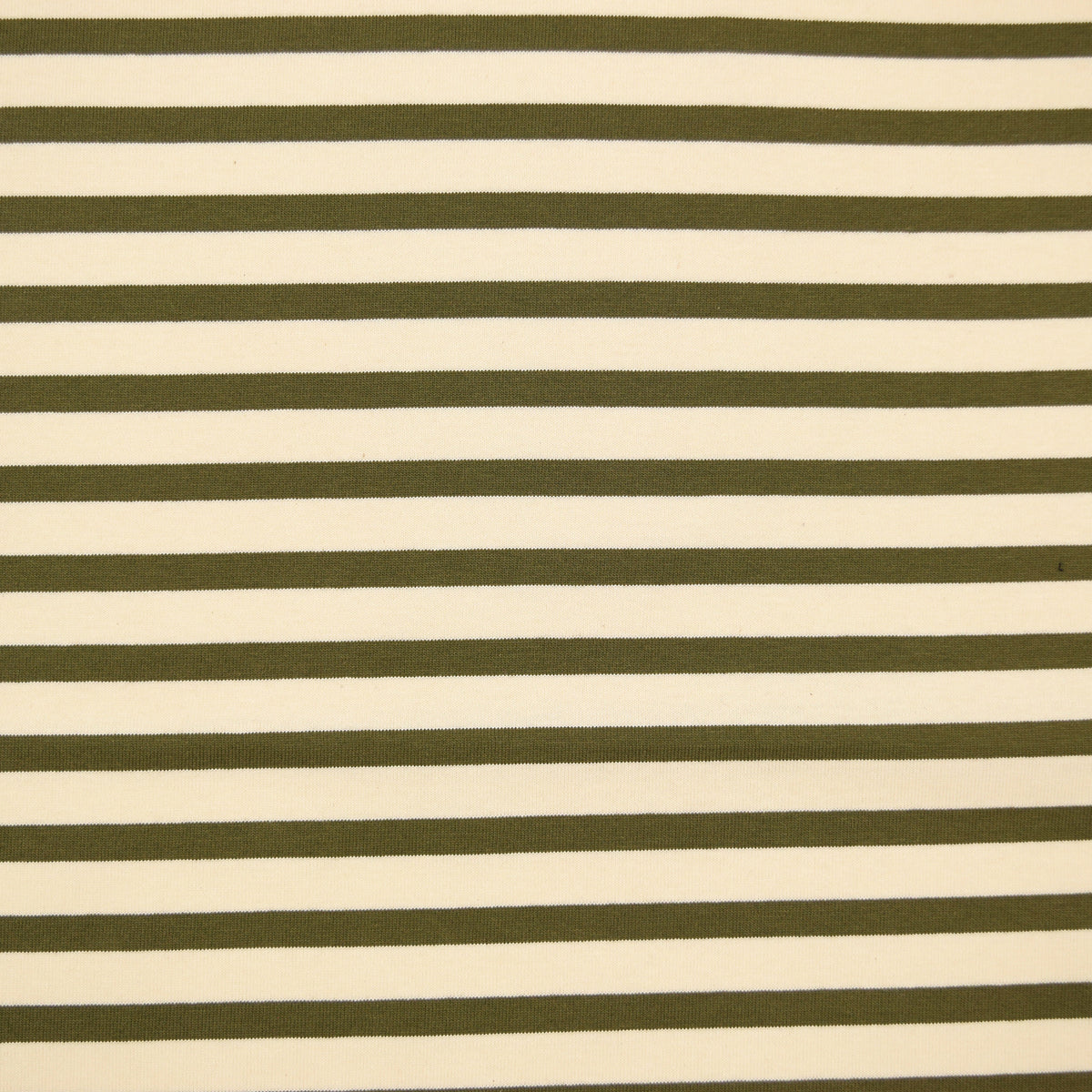 Striped Cotton Jersey Knit - Ecru x Khaki
