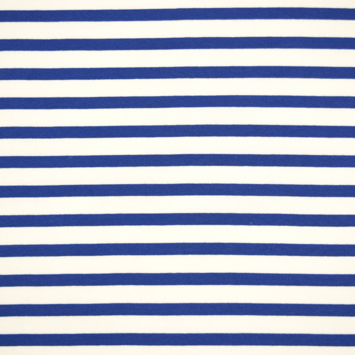 Striped Cotton Jersey Knit - White x Blue