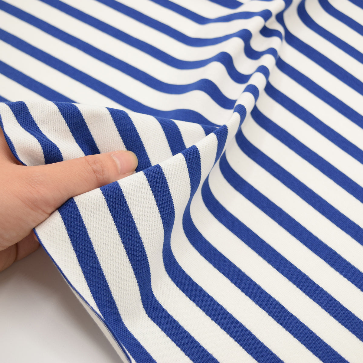 Striped Cotton Jersey Knit - White x Blue