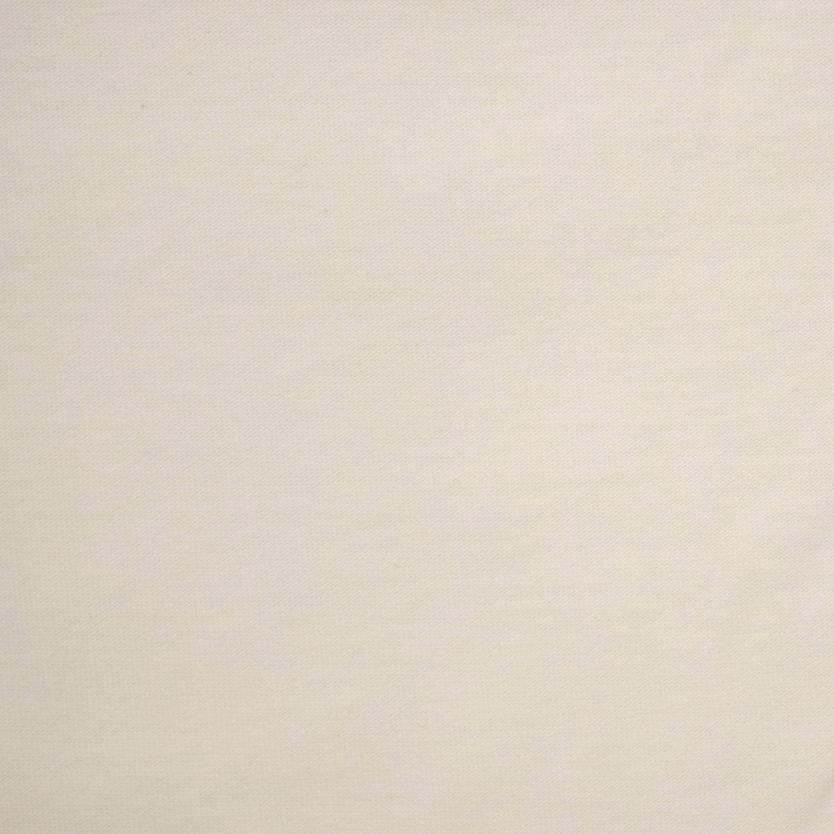 Solid Cotton Jersey Knit - Off White