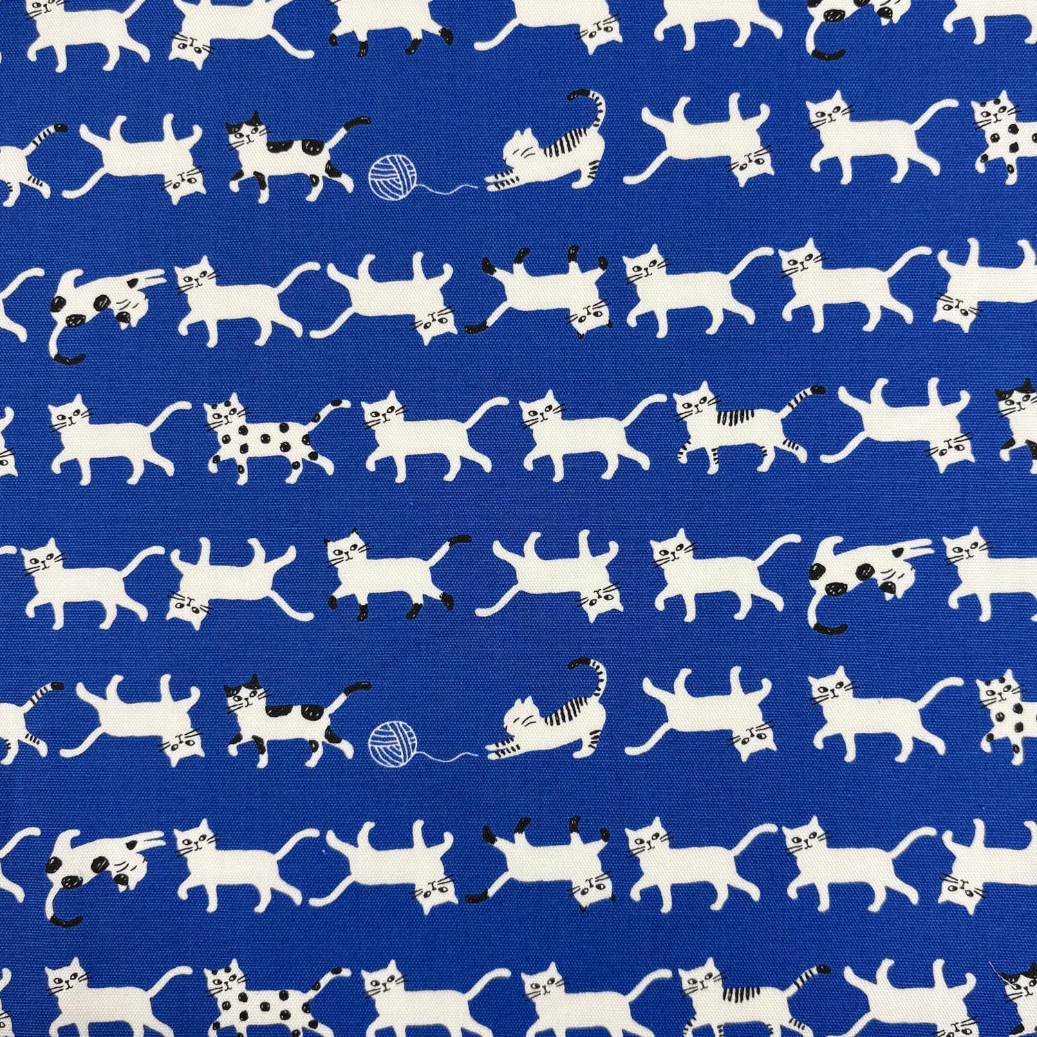 Simply Palette Cat Prints Cotton Oxford