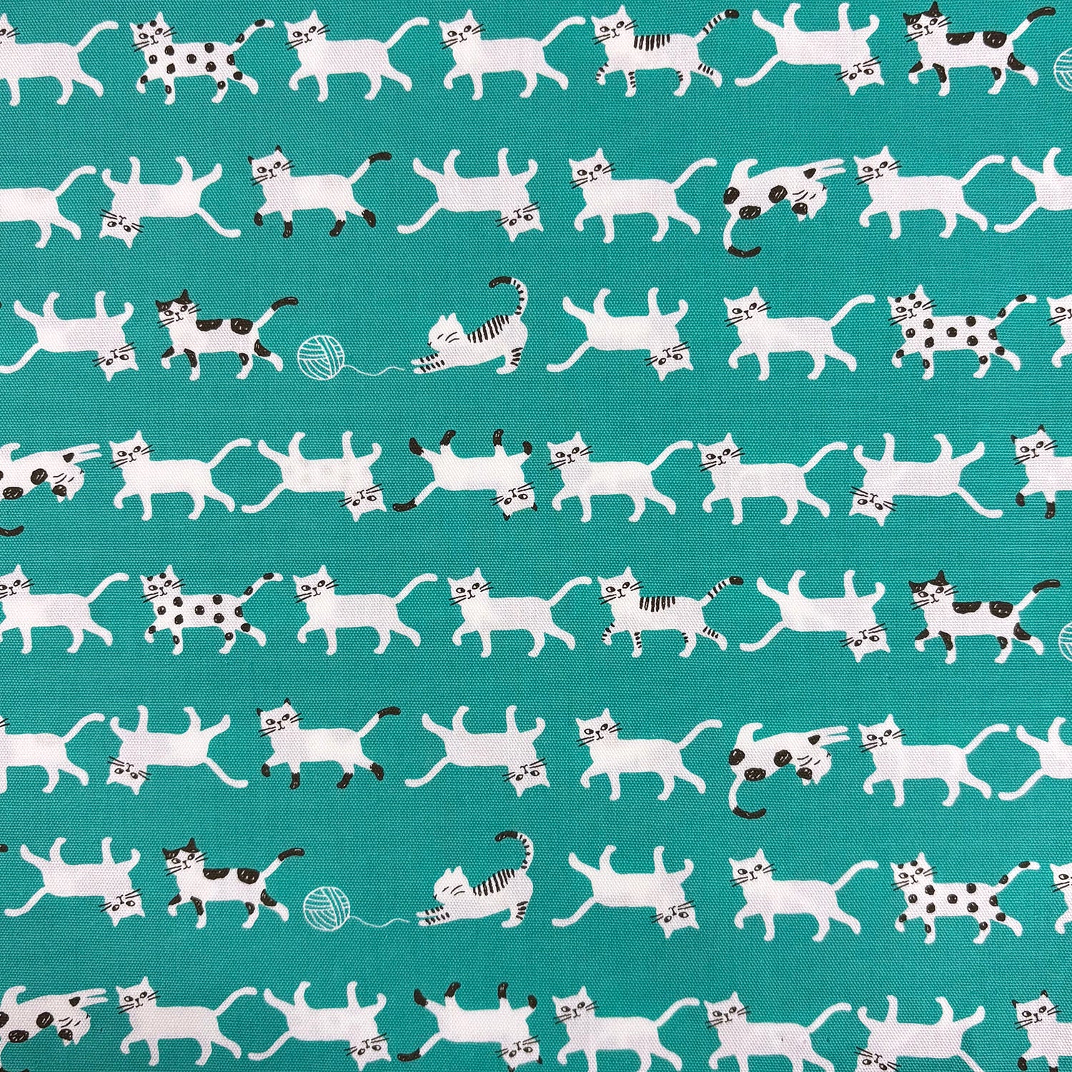 Simply Palette Cat Prints Cotton Oxford