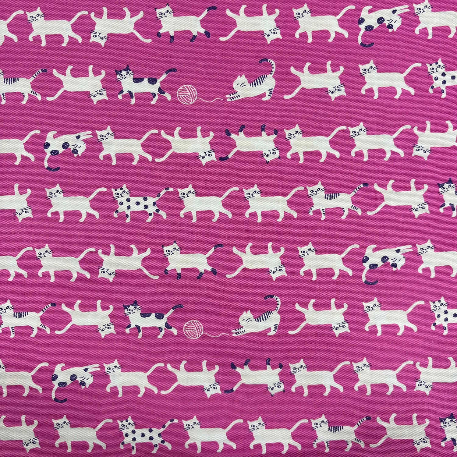 Simply Palette Cat Prints Cotton Oxford