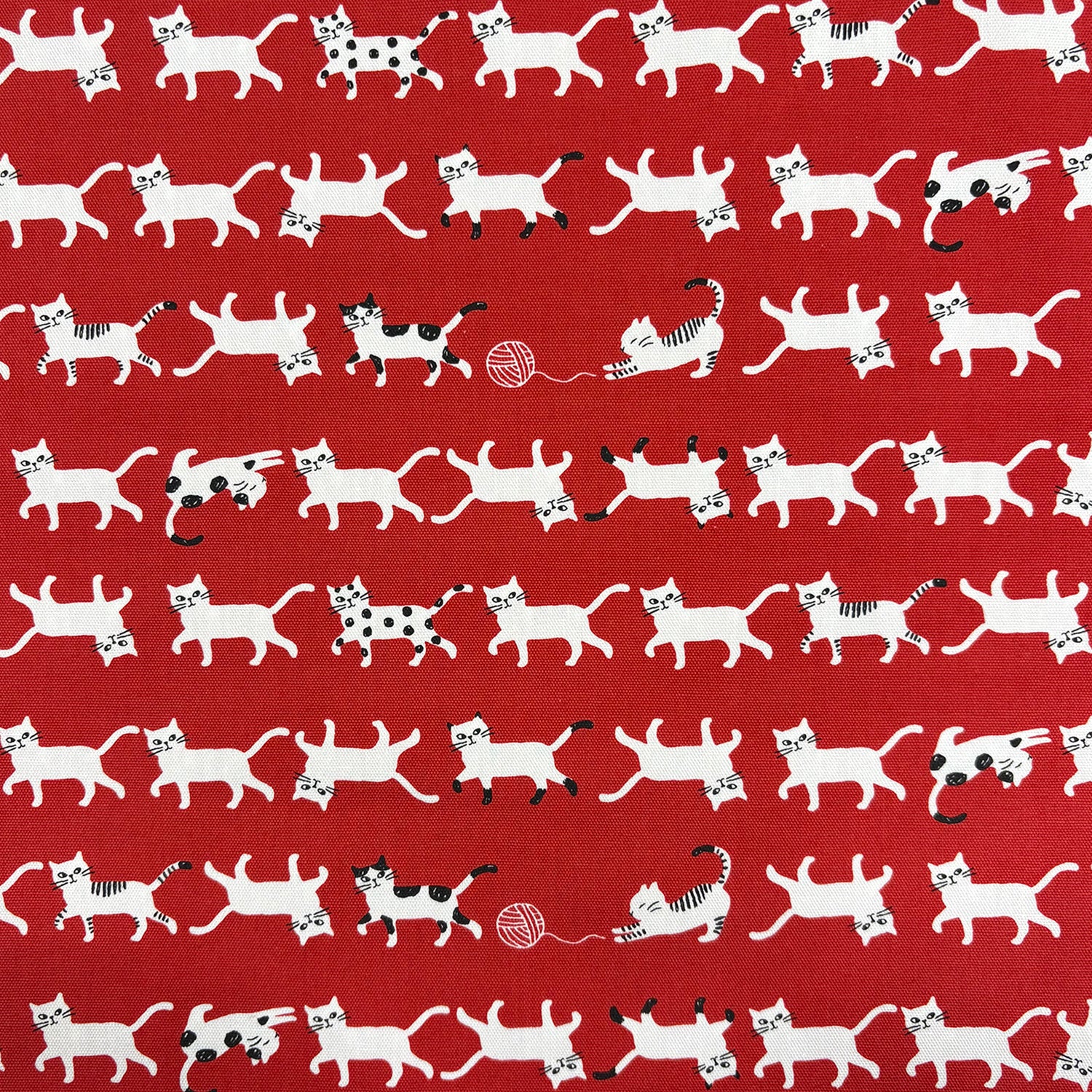 Simply Palette Cat Prints Cotton Oxford