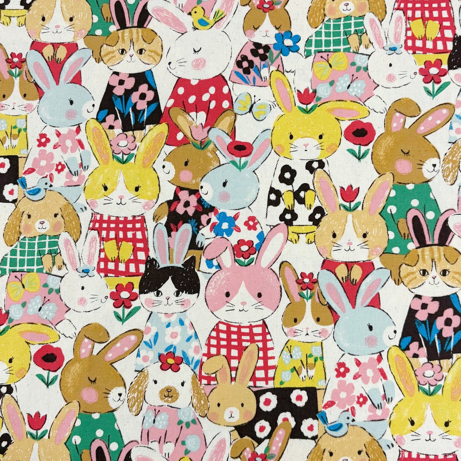 Powerful Animal Rabbits Oxford