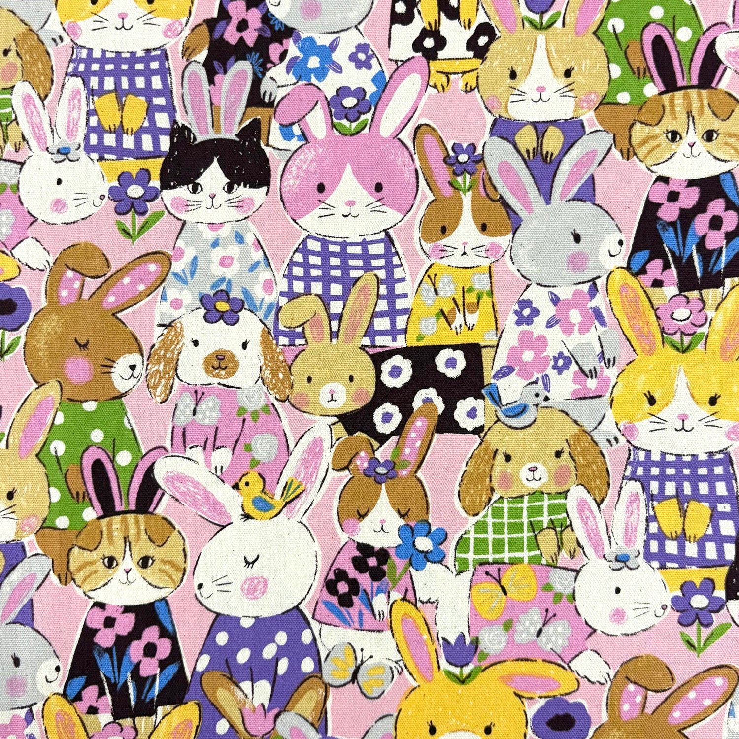 Powerful Animal Rabbits Oxford