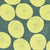 MUDDY WORKS Mini Anpan Cotton Double Gauze - Green x Yellow