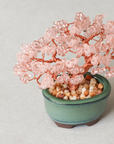 Beaded Bonsai Kit