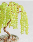 Beaded Bonsai Kit