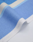 Dynamic Stripes Cotton Oxford - Blue Multi