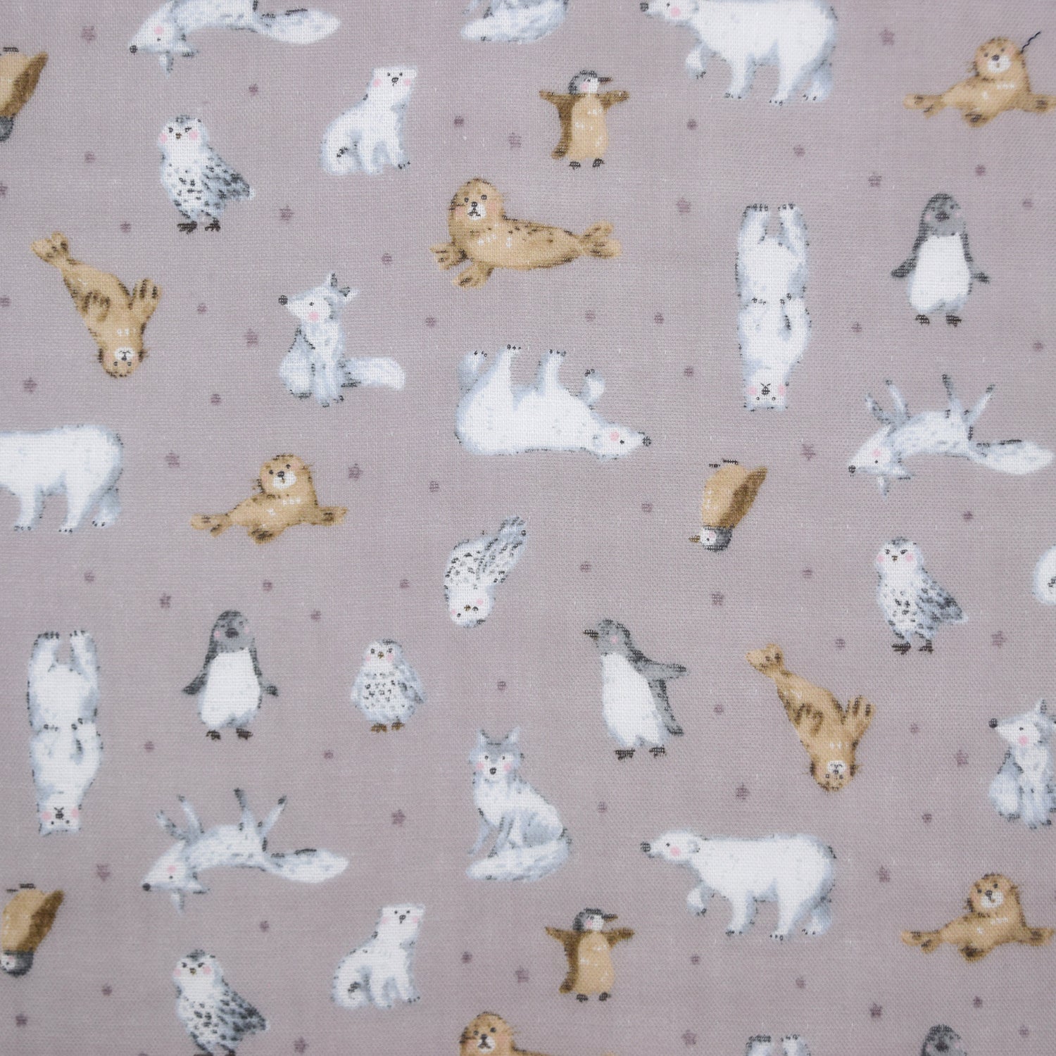 [Fabric Sample] Artic Animals Cotton Double Gauze