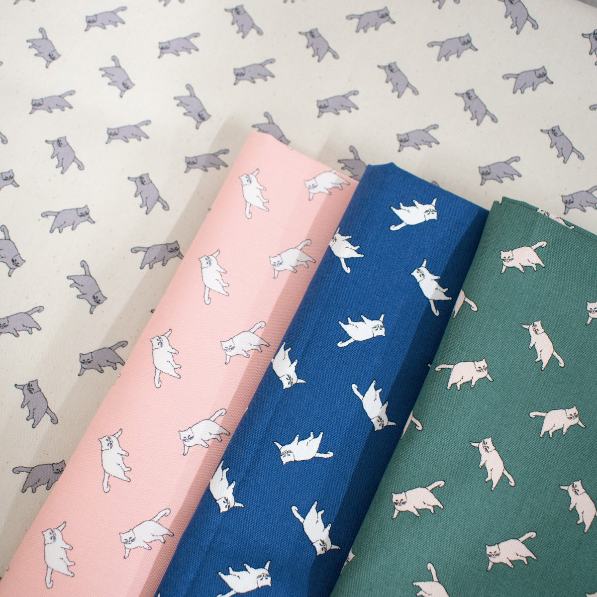 MUDDY WORKS Cat Organic Cotton Oxford - Beige