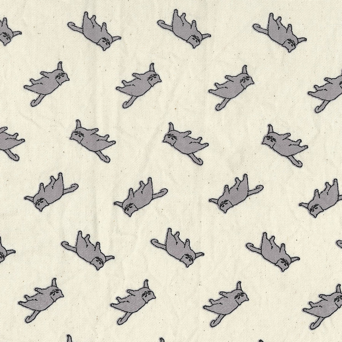MUDDY WORKS Cat Organic Cotton Oxford - Beige