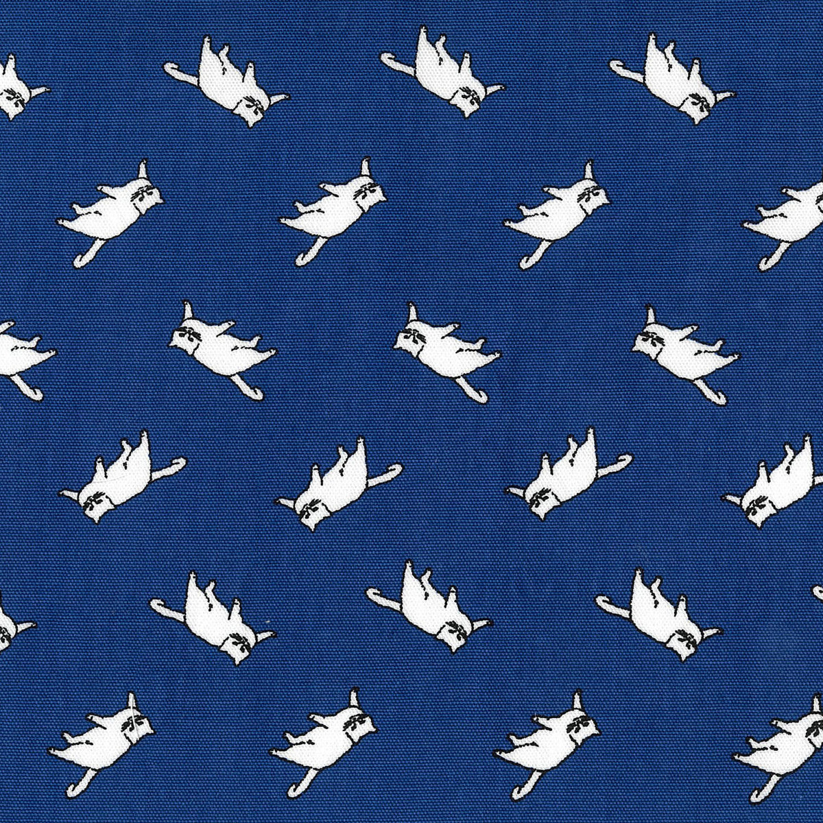 MUDDY WORKS Cat Organic Cotton Oxford - Navy