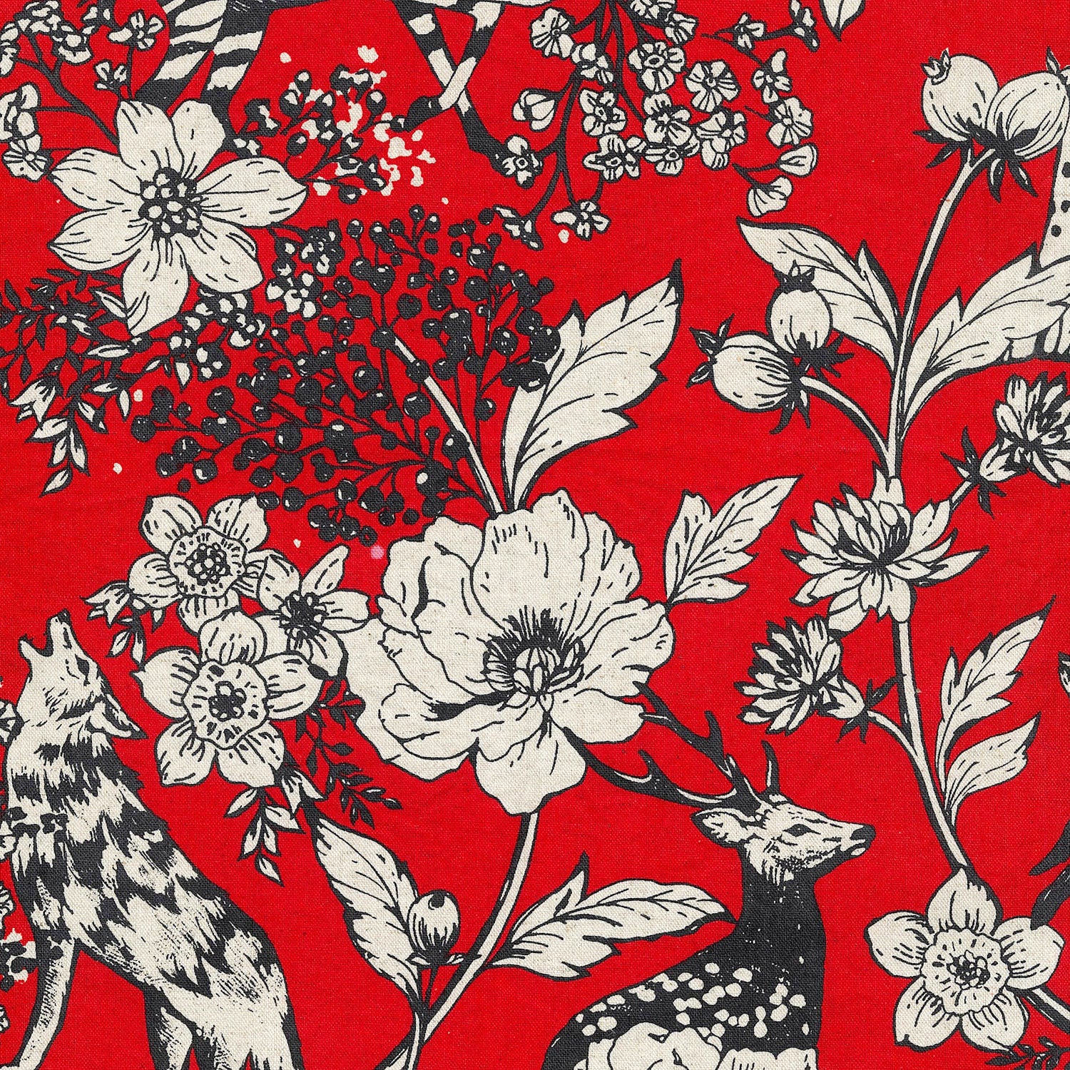 echino / Etsuko Furuya Fabric | Kokka Fabrics