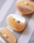 4nov Shell Buttons [Coffee Beans Trocas Shell / 15mm] TPS-1188-1