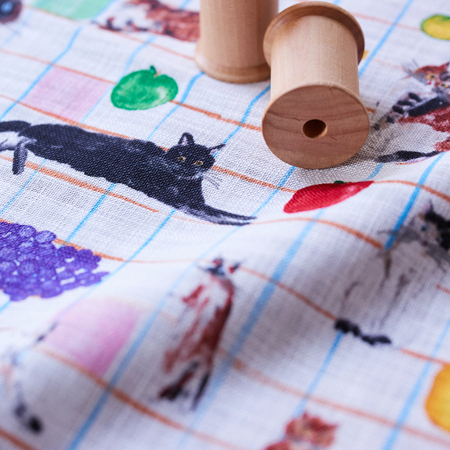 Paper message Cat & Table Fruit Lightweight Canvas